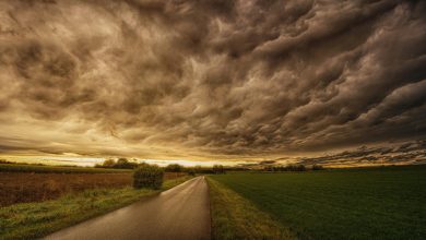 pexels jplenio 1118872