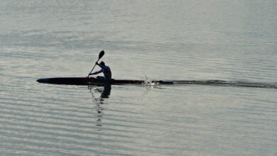 rowing 8408074 1280