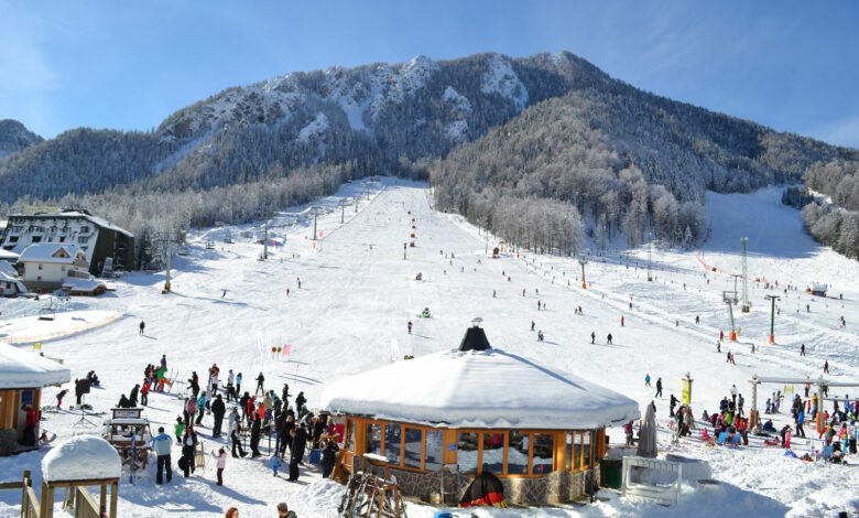 Kranjska gora