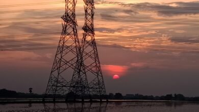 delavca poskodovana pri delu na elektricnem omrezju enega odpeljal helikopter in se bori za zivljenje 67dec28d40736 1742652045