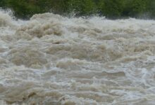 flood 1