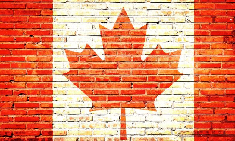 Trumpova politika prebuja kanadsko domoljubje: Bo prišlo do političnega preobrata? 1 kanada flag