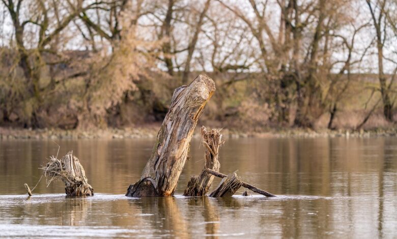 krka in radesca grozita z obseznejsimi poplavami 67e93277a8a10 1743336055