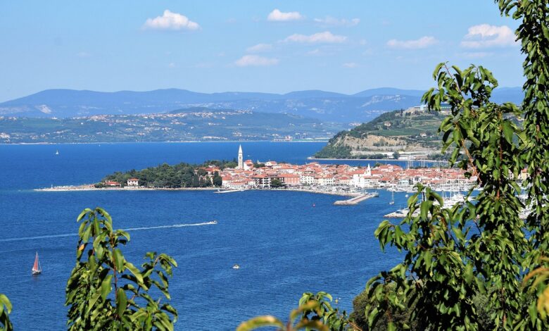 preimenovanje obalno kraske regije nova identiteta za istro 67e6d5c12fd1b 1743181249