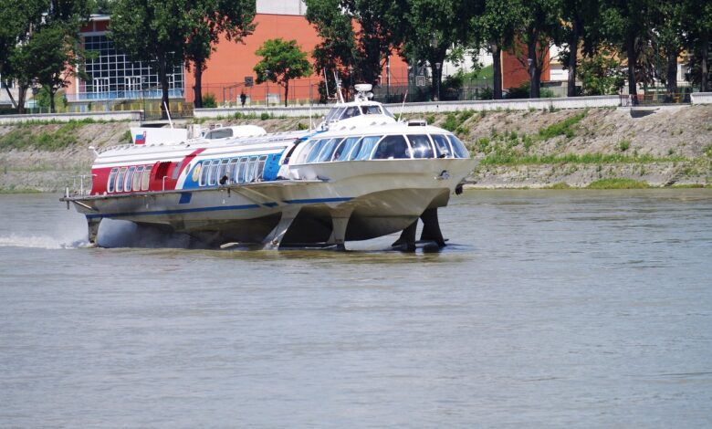 s hidrogliserji od trsta do istre in malega losinja 67dfb1c7ded2d 1742713287