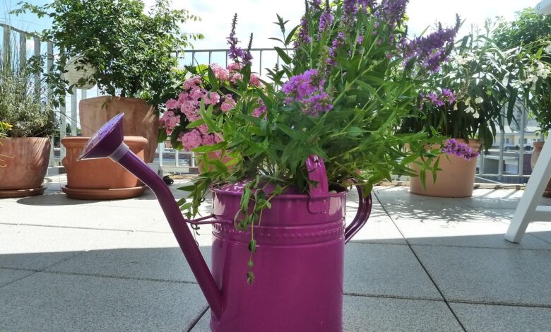 sosednja hrvaska sprejema nov pravilnik o hisnem redu 67e6494004afa 1743145280