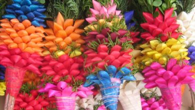 cvetna nedelja kristjani po svetu praznujejo cvetno nedeljo z butarami in vejicami 67fb6113a3eb9 1744527635