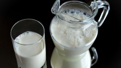 kako lociti med alergijo na hrano in intoleranco vodnik za prepoznavanje in obvladovanje 67ff478b08be3 1744783243
