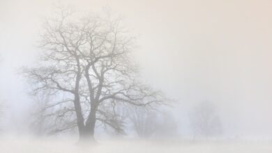 kurjenje v mariboru kakovost zraka znova pod vprasajem 67f75e900e11e 1744264848