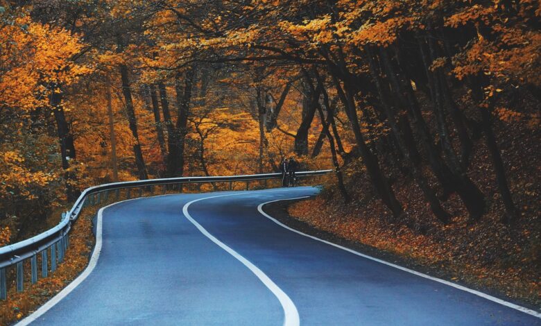 prihajajo prometni zastoji kaj caka voznike ta vikend 67fa1d89243ad 1744444809