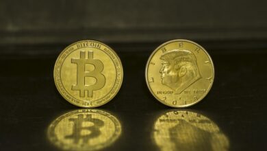 Kriptovalute na vzponu: Trump Coin preseneča z rastjo 10 trump coin