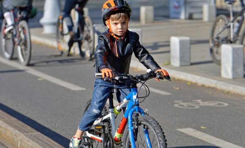 Usposabljanje učiteljev v Ljubljani krepi varnost mladih kolesarjev 1 usposabljanje uciteljev v ljubljani krepi varnost mladih kolesarjev 680b4f2646fe5 1745571622