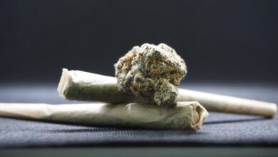 cariniki v kopru odkrili skoraj tono konoplje med cajem 6827450058098 1747404032