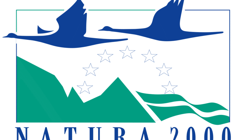kako natura 2000 varuje slovenijo pomen in uspehi omrezja 682df8931b441 1747843219