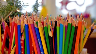 novela zakona o vrtcih spremembe pri vpisu in izpisu otrok ter vkljucevanje ranljivih skupin 68399dde693d0 1748606430