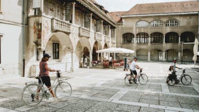 ssof poziva drzavo k zasciti krizank pred prodajo obcini 681c9cd164edc 1746705617