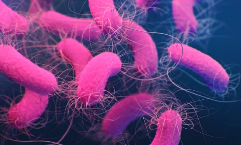 sudan v primezu kolere vec kot 2300 okuzb in 50 smrti v treh tednih 6830261d1eb49 1747985949