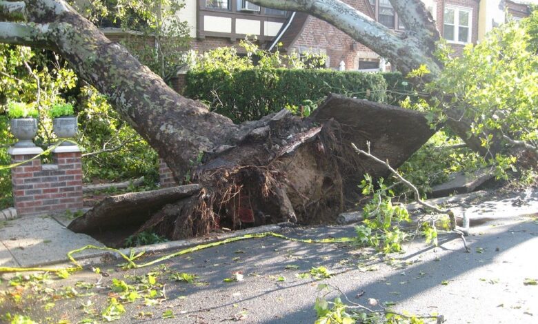 Tornadi pustošijo Missouri in Kentucky: 27 mrtvih, ogromna škoda 1 tornadi pustosijo missouri in kentucky 27 mrtvih ogromna skoda 682af323b2db0 1747645219