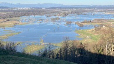 vlada potrjuje nove ukrepe za zascito krajinskega parka barje z ohranitvijo kolisc na igu 683198b3c6953 1748080819