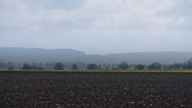 40 let schengenskega sporazuma kako bo eu premagala migracijske izzive 684bdaae09f05 1749801646