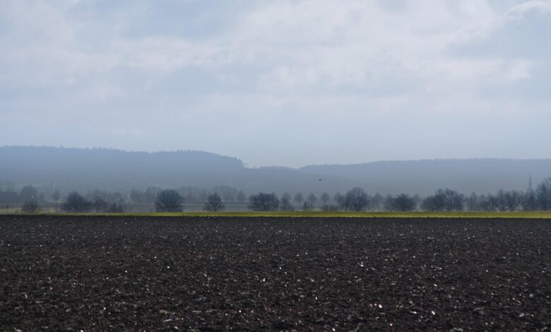 40 let schengenskega sporazuma kako bo eu premagala migracijske izzive 684bdaae09f05 1749801646