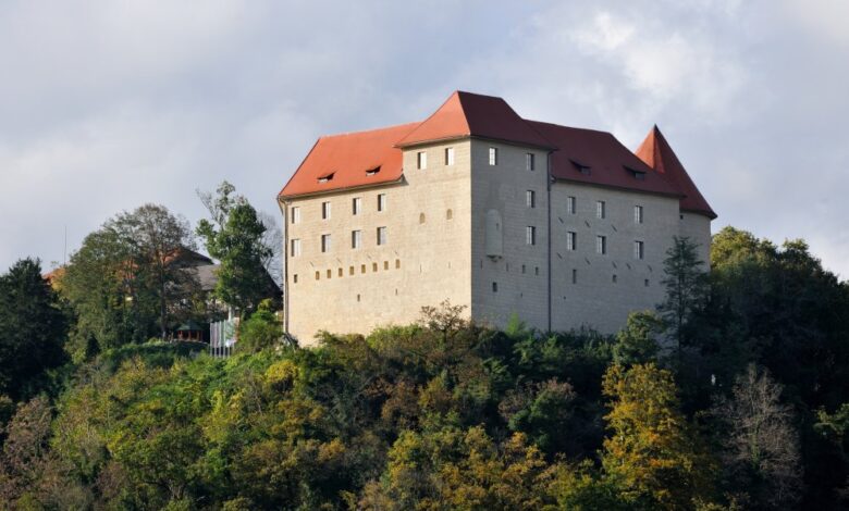 80 obletnica vrnitve slovenskih izgnancev spominska slovesnost v brestanici 6843f19c8b66f 1749283228