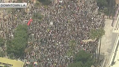 Protest No kings day