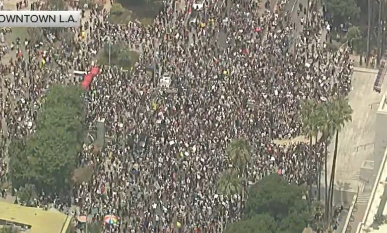 Protest No kings day