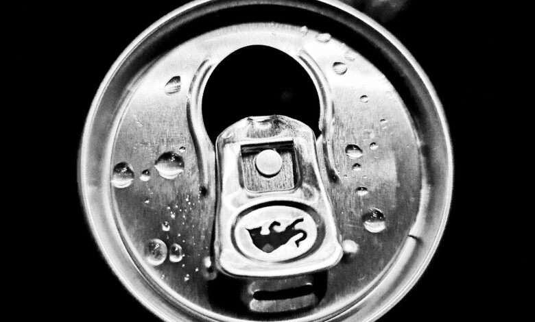 ceska parlamentarna vrocica prepoved energijskih pijac otrokom 685e5dbb56ed0 1751014843