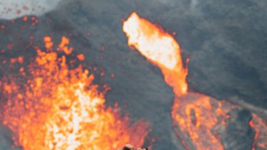 izbruhnil vulkan na floresu izbruh ohromil letalski promet na baliju in povzroca kaos v indoneziji 68528e3f6ee42 1750240831