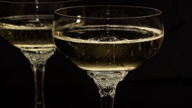 ljubljana danes gosti festival z vec kot 100 penecimi vini 68554d4e1b101 1750420814