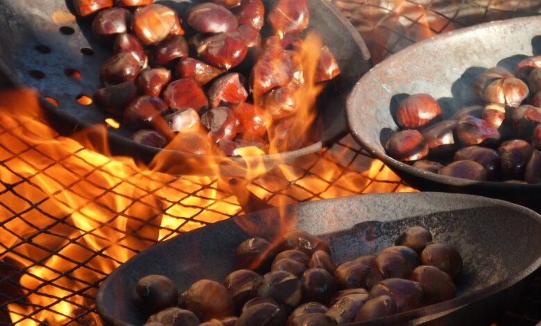 ljubljana uspesno oddala utice za kostanj po rekordnih cenah 6855194ddbd02 1750407501