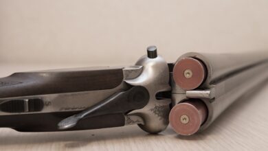 Lovec po nesreči ustrelil kolega: Mislil je, da je jelen in ga hudo poškodoval 2 lovec po nesreci ustrelil kolega mislil je da je jelen in ga hudo poskodoval 6845b3a47d759 1749398436