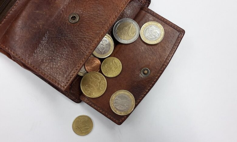 Povišanje "nesramno nizkega" nadomestila za brezposelnost: Kaj še prinaša nova zakonodaja? 1 money in wallet