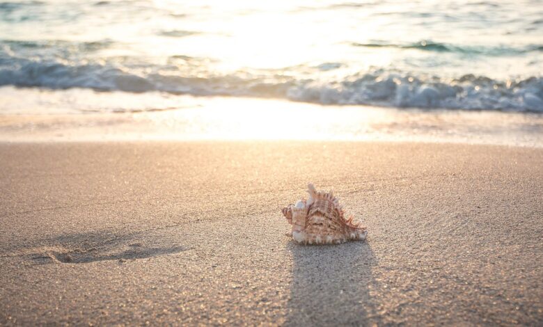 nastopilo je meteorolosko poletje vrocinski val v slovenijo prinasa prvi okus pravega poletja 683c32d115053 1748775633