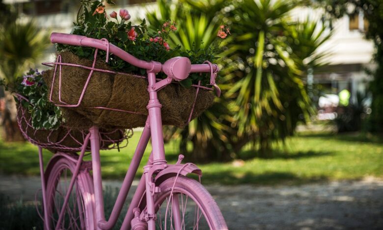 nepricakovane pomanjkljivosti ogrozile odprtje kolesarskega mostu v celju 68512ead0f3fc 1750150829