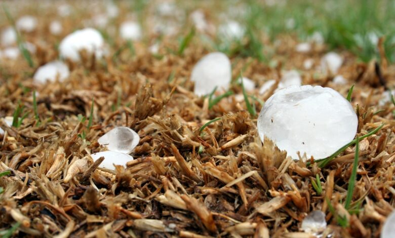 Sever Slovenije na udaru: Pričakovane nevihte z debelo točo 1 sever slovenije na udaru pricakovane nevihte z debelo toco 683ed5e0d6bd4 1748948448
