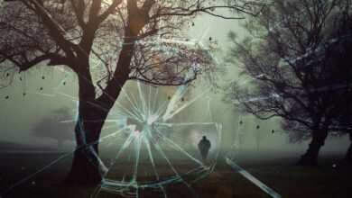 skrivnostna smrt v rimskem parku truplo dojencice in zenske 68482c5ce2928 1749560412