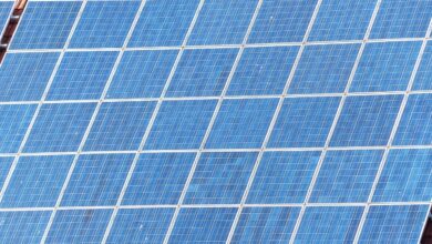 slovenija zamuja priloznost nevladniki za vec soncne energije 6856f332a7631 1750528818