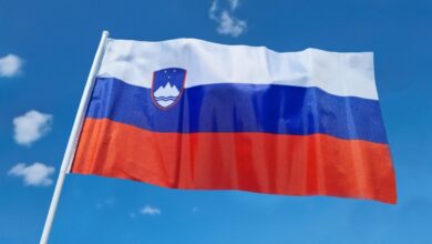 Socialni partnerji na pragu odločitve o zakonu za urejanje trga dela 5 socialni partnerji na pragu odlocitve o zakonu za urejanje trga dela 6842f47ecc4d6 1749218430