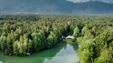 brdo pri kranju nova turisticna izkusnja z ogledi in razstavo 6888f011f2c61 1753804817