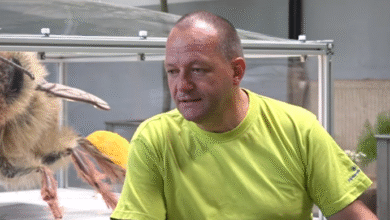 direktor komunale kranj na robu razresitve po nesreci 68889bb38da25 1753783219