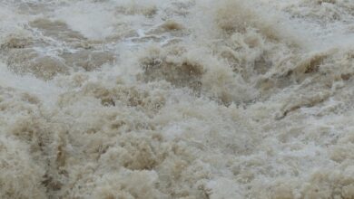 Dunajska cesta: Nova rešitev za poplave končno na obzorju 4 dunajska cesta nova resitev za poplave koncno na obzorju 6879f1045488b 1752822020