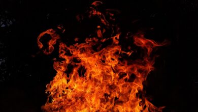 Tragičen požar na severozahodu Turčije: deset žrtev med gasilci in gozdnimi delavci 3 fire