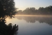 Tragična nesreča na Kolpi: Pet migrantov utonilo na hrvaško-slovenski meji 2 kolpa in kocevsko jezero turisticna sezona v polnem zamahu 686ab9cabf955 1751824842