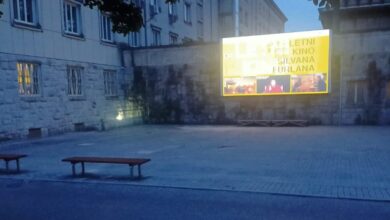 letni kino silvana furlana filmska carovnija v novi gorici 6883b81ae7498 1753462810