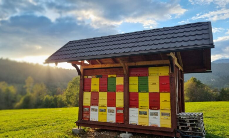 medvedji napadi v breginju groznja vascanom in cebelnjakom foto 687634c0051d4 1752577216