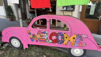 postojna bo do nedelje raj za ljubitelje citroenovih spackov 688a096e5ee96 1753876846