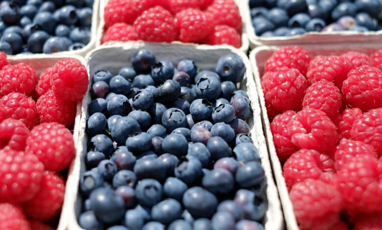 razvoj zadruznistva v sloveniji povezovanje razkropljenih kmetov za uspeh na trgu 687cf68a21253 1753020042