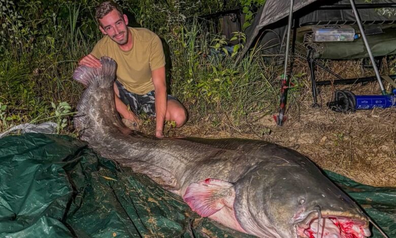 Ribič v Vipavi ujel skoraj poltretji meter dolgega soma! 1 ribic v vipavi ujel skoraj poltretji meter dolgega soma 6884b53c4924c 1753527612